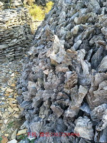 水族青龍石 假山疊石 精品峰石