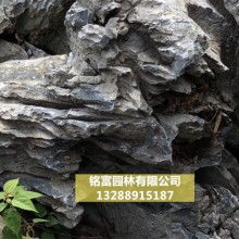 假山 園林藝術中的自然縮影